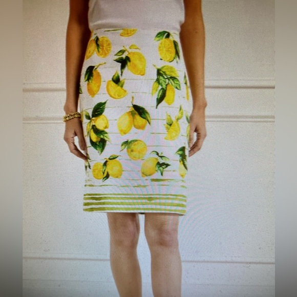 Talbots Dresses & Skirts - TALBOTS CANVAS A LINE SKIRT IN LUSCIOUS LEMONS SIZE 8 NWT!